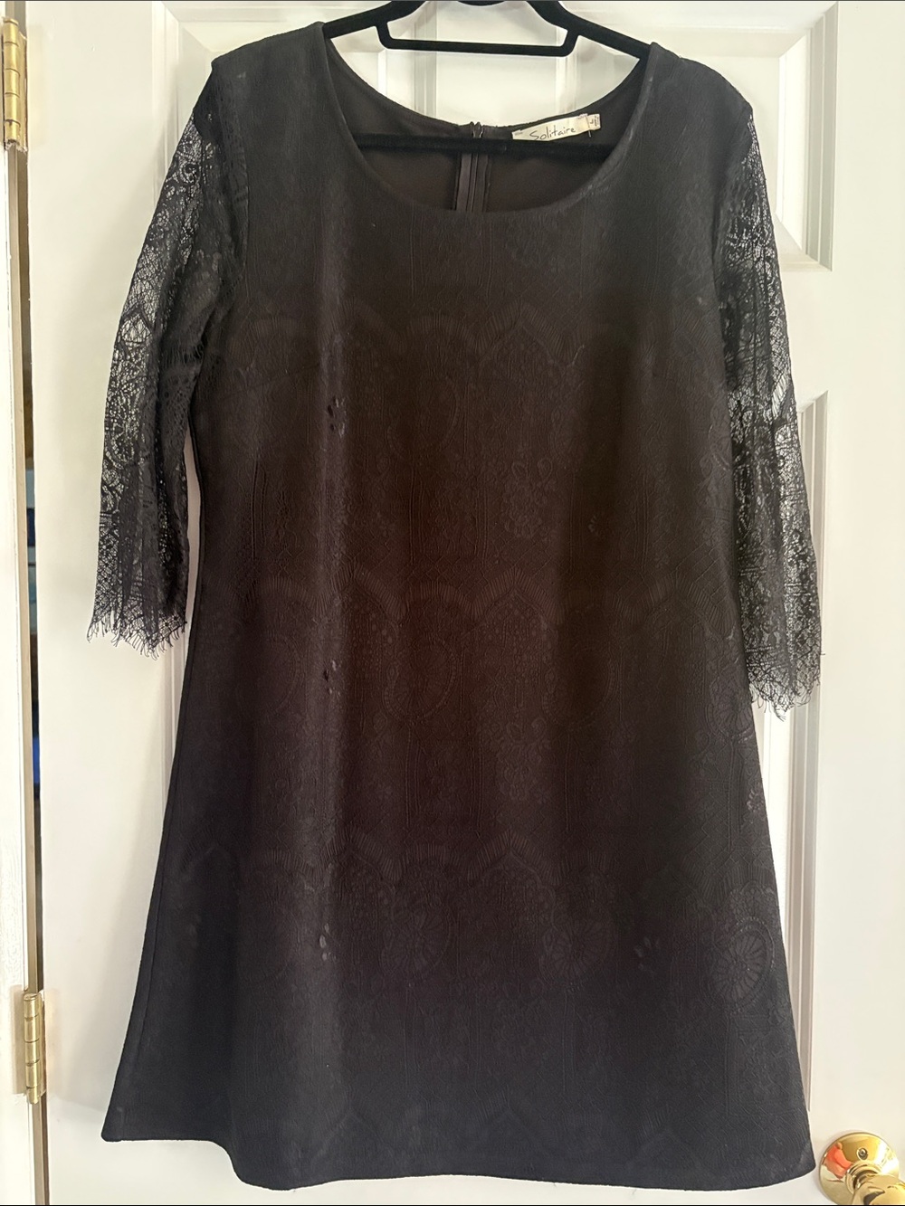 Solitaire Black Lace Sleeve A-Line Mini Dress